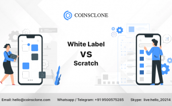 Cost to develop a Crypto Exchange (White Label vs Scratch)