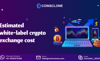 cost to develop a white-label exchange