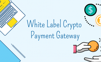 White label crypto payment gateway