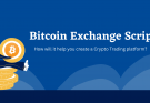 Bitcoin Exchange Script