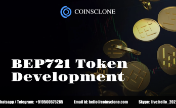 BEP721 Token Development