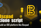 Bscpad clone script