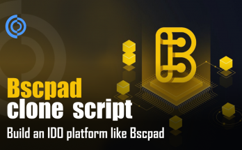 Build an IDO Platform like BSCpad