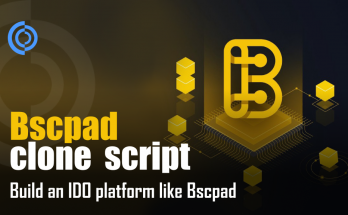 Bscpad clone script