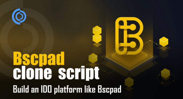 Bscpad clone script