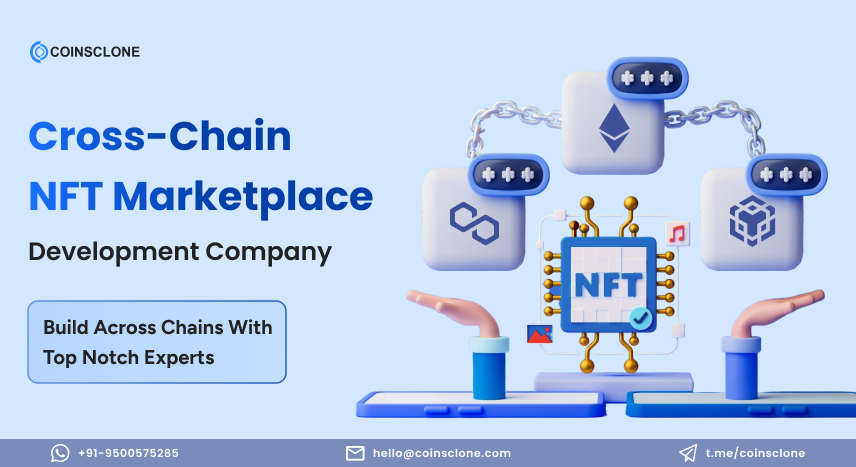 Cross Chain NFT Marketplace Development