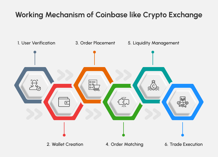 How Do Coinbase-Like Crypto Exchange Works?